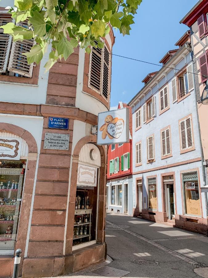 Le Nid Cosy - En Plein Coeur De Selestat 아파트 외부 사진